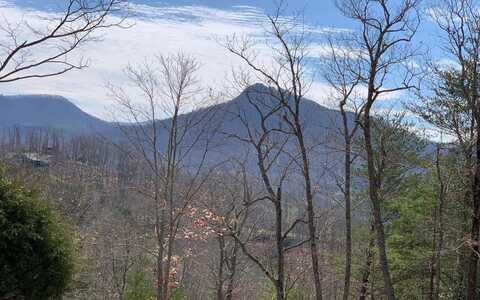 Lot 42 Dan Knob, HAYESVILLE, NC 28904