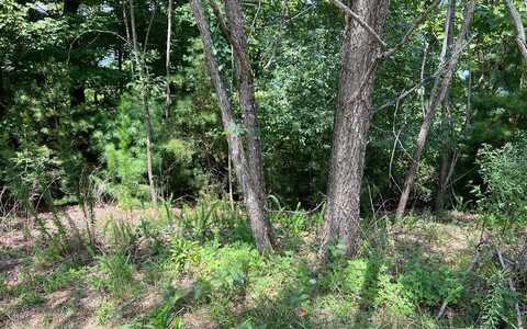 Lot 59 Fires Creek Cove, HAYESVILLE, NC 28904