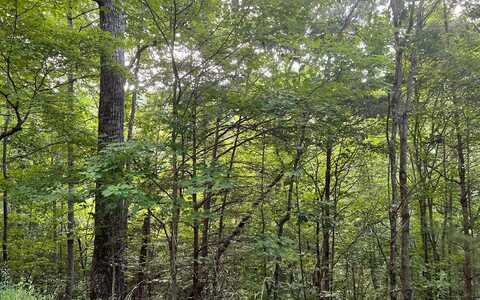 Lot 13 The Preserve, BRASSTOWN, NC 28902