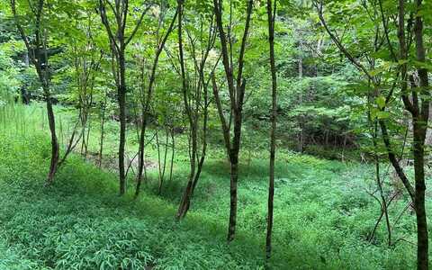 Lot 12 The Preserve, BRASSTOWN, NC 28902