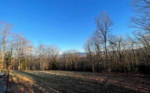 17+ Acre Matheson Cove Road, HAYESVILLE, NC 28904