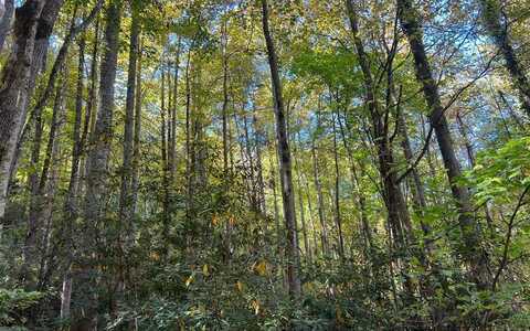 Tract 1 Tusquittee Road, HAYESVILLE, NC 28904