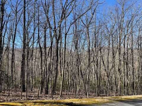 Lot 34J Ash Branch Road, HAYESVILLE, NC 28904