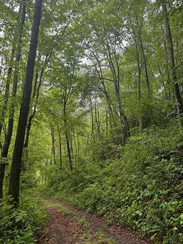 0 Summit Ridge off of Chestnut Cove Rd, SYLVA, NC 28779