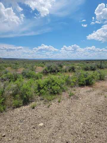 Highway 205, Burns, OR 97720