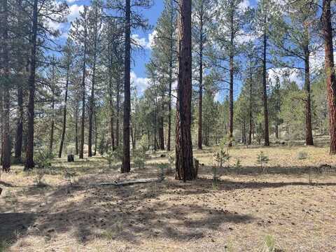 Tableland Road, Sprague River, OR 97639