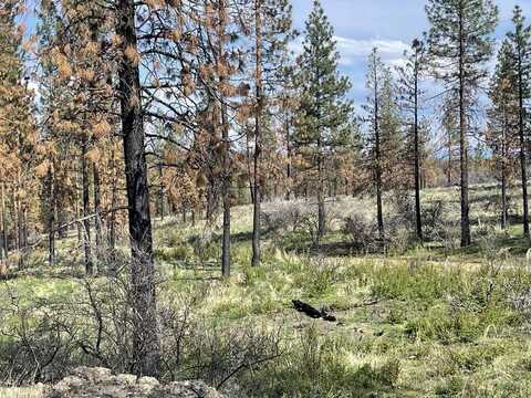 TL 01000 OFF Godowa Springs Road, Beatty, OR 97621