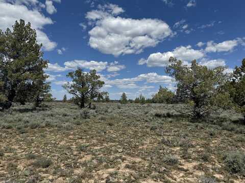 Wildpine Way, Beatty, OR 97621