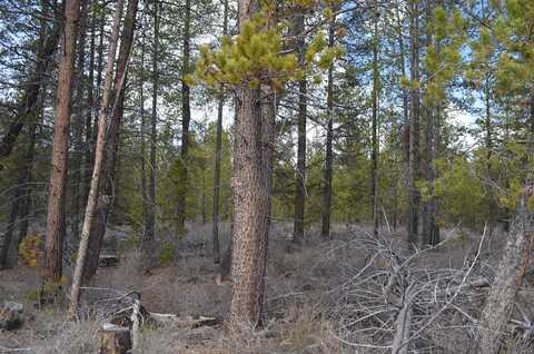 Powerline Road, Crescent, OR 97733