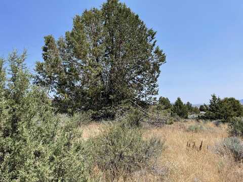 Drews Road, Sprague River, OR 97639