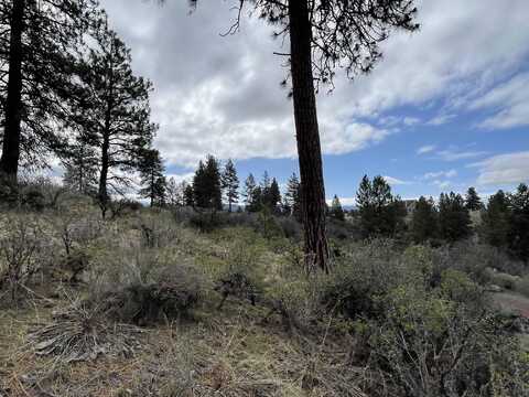 Lot 25 Legget Drive, Chiloquin, OR 97624