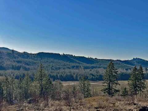 44821 Thomas Creek Drive, Scio, OR 97374