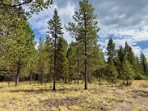 Caribou Drive, Bend, OR 97707