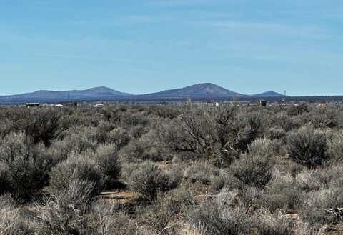 1000 Raven Ridge Lane, Christmas Valley, OR 97641