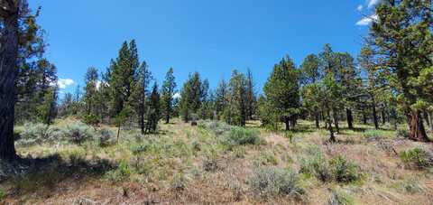 SE Weatherby Loop, Prineville, OR 97754