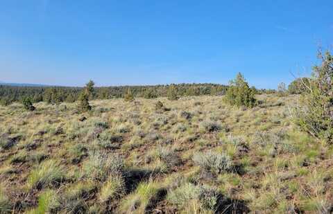 TL 2900 SE Deer Run Road, Prineville, OR 97754