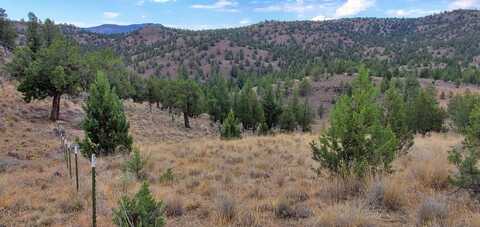 TL 802 SE Doubtful Dirt Road, Prineville, OR 97754