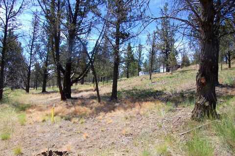 TL 700 NW Irvine Avenue, Prineville, OR 97754