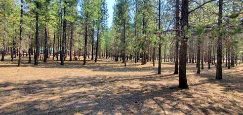 51986 Black Pine Way, La Pine, OR 97739