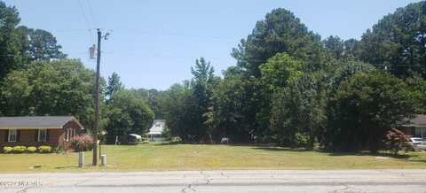 Lot 2 Greenacres Road, Snow Hill, NC 28580