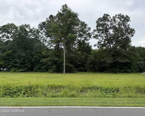 Lot 2 Caleb Drive, Seven Springs, NC 28578