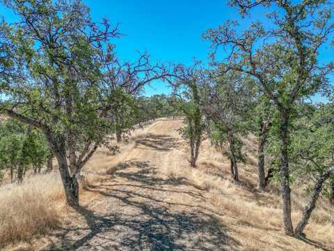 0 Wood Duck Pass RD, RED BLUFF, CA 96080