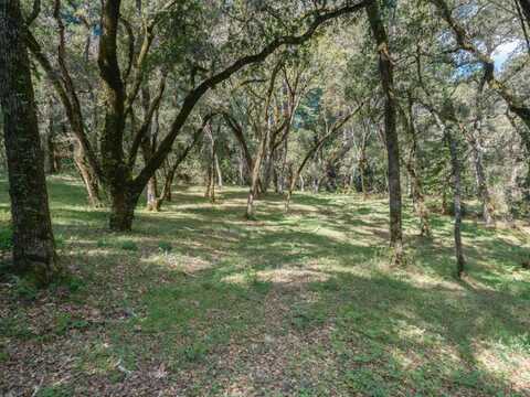 35000 Robinson Canyon RD, CARMEL VALLEY, CA 93923