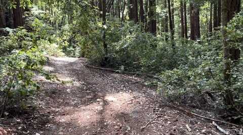 00 Slate Creek Rd, LA HONDA, CA 94020