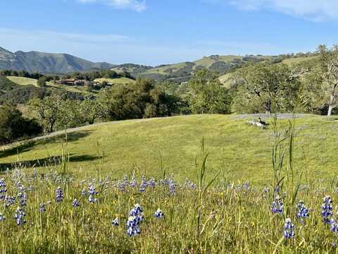 8 Touche PASS, CARMEL, CA 93923