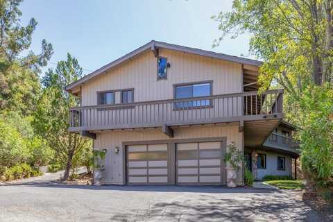 12020 Hummingbird CT, LOS ALTOS HILLS, CA 94022