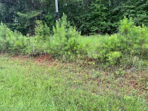 149 Old Plantation Trail, Milledgeville, GA 31061