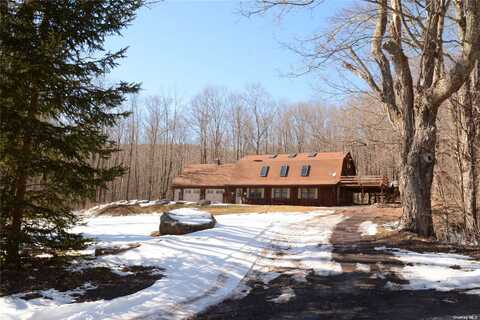 107 Mt Pisgah Road, Windham, NY 12496