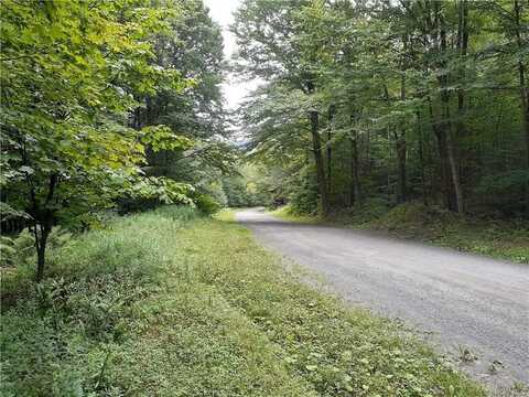 Bowers Road, Fremont Center, NY 12736