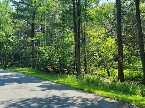 Dill Road, Forestburgh, NY 12777