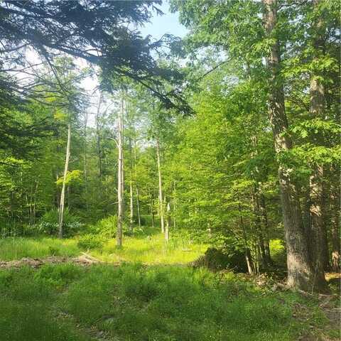 Aldrich Road, Wurtsboro, NY 12790