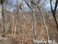 Lot #16 Fox Hunt Lane, Yaphank, NY 11980