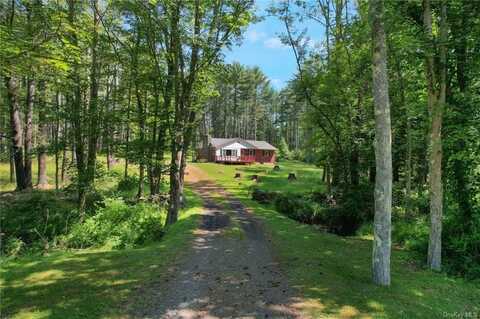 1124 State Route 42, Sparrowbush, NY 12780