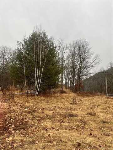 Tr40, Long Eddy, NY 12760