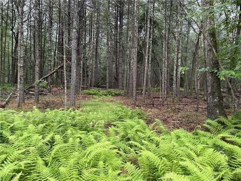 Lot 62.2 Lake View Drive, Clay, NY 12743