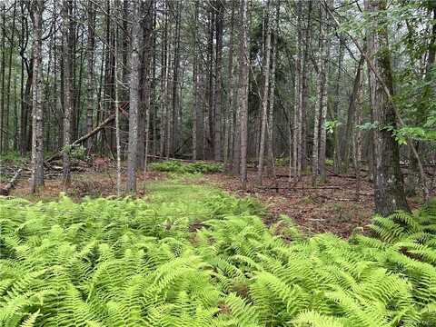 Lot 62.2 Lake View Drive, Highland Lake, NY 12743