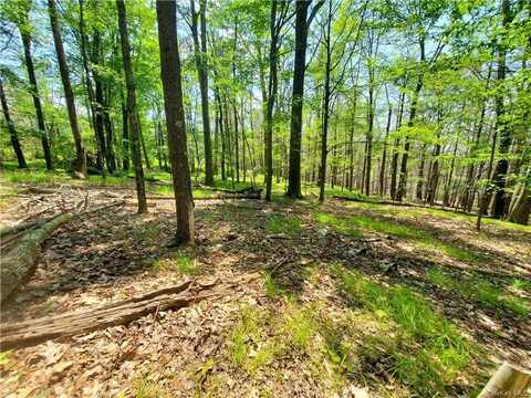 Tbd Piney Lane, Cragsmoor, NY 12420