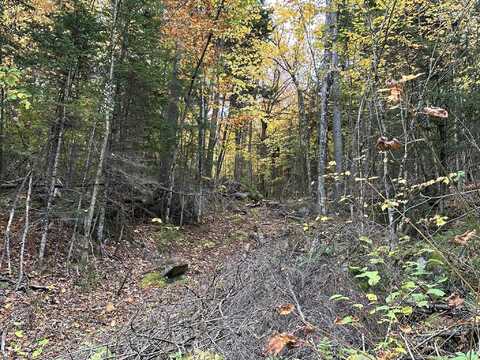 Lot #b-1 Mountain Road, Coplin Plt, ME 04970