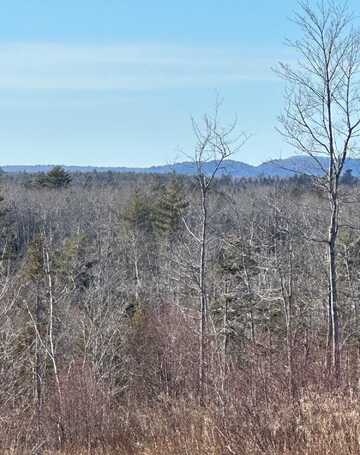 Lot33 Park Street, Milbridge, ME 04658