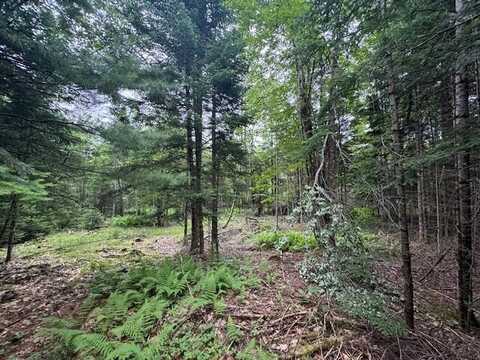 M2 L21-2 South Ridge Road, Palmyra, ME 04965