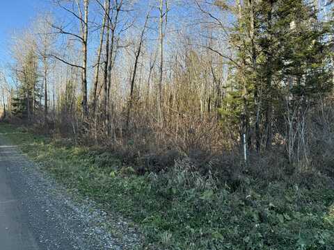 Lot #6a Off Alexander Road, Van Buren, ME 04785