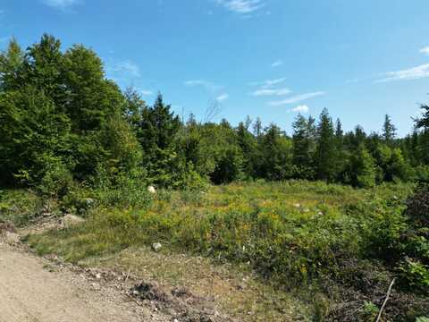 Lot 5 Dirty Glove Road, Springfield, ME 04487