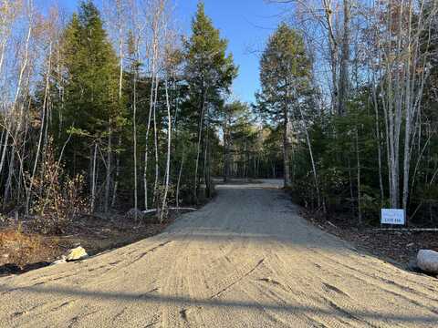 Lot 110 Coyote Lane, Waltham, ME 04605