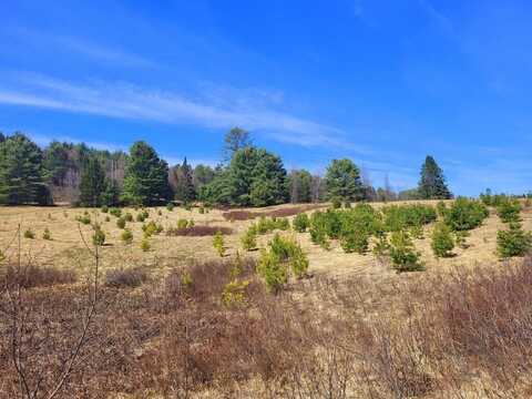 Lot 26-3-1 Kennebec River Road, Embden, ME 04958