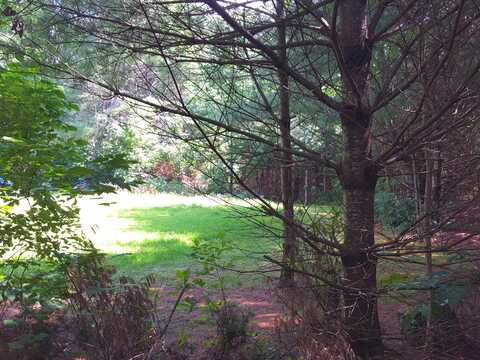 Lot#8 Harrison Road Road, Naples, ME 04055