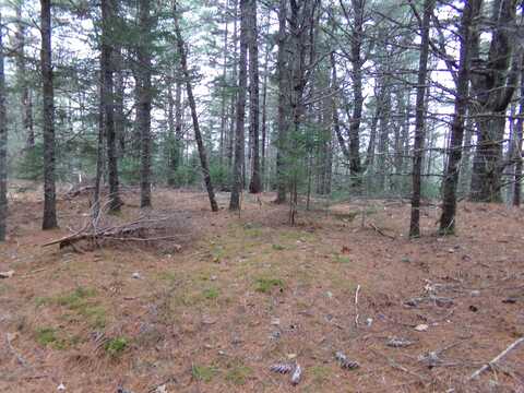 Lot 3-e Rogers Point Road, Steuben, ME 04680